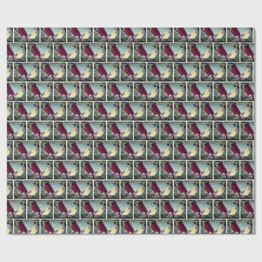 (鳥)ショウジョウコウカンチョウ北赤鳥対 ラッピングペーパー (フラット)