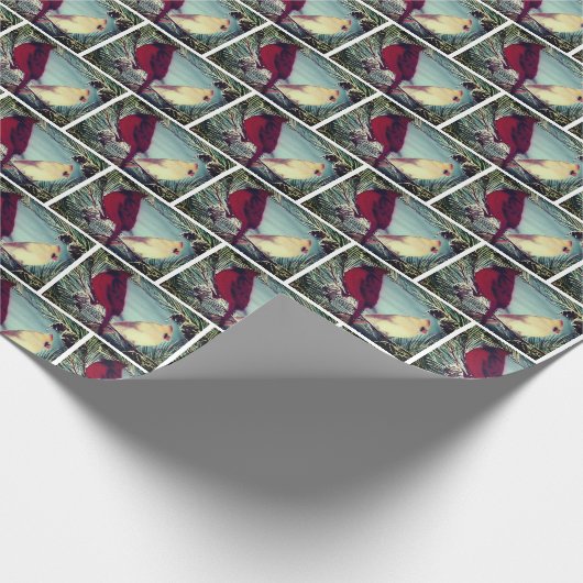 (鳥)ショウジョウコウカンチョウ北赤鳥対 ラッピングペーパー (角)