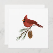 （鳥）ショウジョウコウカンチョウ固定カード (正面/裏面)