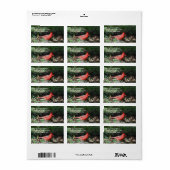 （鳥）ショウジョウコウカンチョウ宛名ラベル ラベル (フルシート)