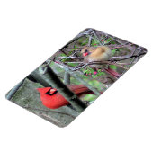 （鳥）ショウジョウコウカンチョウ対フレックス磁石 マグネット (左側)