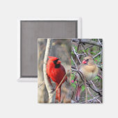 (鳥)ショウジョウコウカンチョウ対 マグネット (正面/裏面)