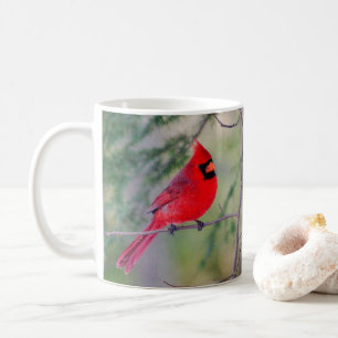 （鳥）ショウジョウコウカンチョウ応援コーヒーマグ コーヒーマグカップ