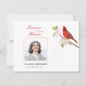 （鳥）ショウジョウコウカンチョウ悔やみや弔慰葬儀写真 サンキューカード (正面)