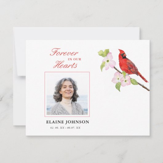 (鳥)ショウジョウコウカンチョウ悔やみや弔慰葬儀写真 サンキューカード (正面)