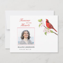 （鳥）ショウジョウコウカンチョウ悔やみや弔慰葬儀写真 サンキューカード