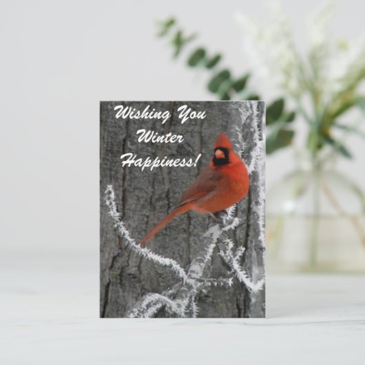 (鳥)ショウジョウコウカンチョウ挨拶 ポストカード (スタンド正面)