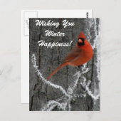 (鳥)ショウジョウコウカンチョウ挨拶 ポストカード (正面/裏面)