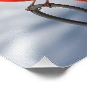 （鳥）ショウジョウコウカンチョウ撮影プリント フォトプリント            (角)