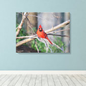（鳥）ショウジョウコウカンチョウ春ウッド キャンバスプリント (インサイチュ (ウッドフロア))