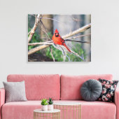 （鳥）ショウジョウコウカンチョウ春ウッド キャンバスプリント (インサイチュ (リビング))