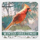 (鳥)ショウジョウコウカンチョウ松の木の前の冬印 スクエアシール (正面)