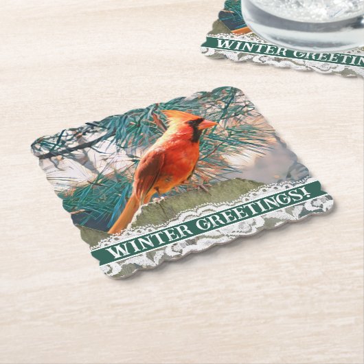 （鳥）ショウジョウコウカンチョウ松の木冬の前 ペーパーコースター (アングル)