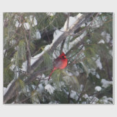 （鳥）ショウジョウコウカンチョウ松写真 ラッピングペーパー (フラット)