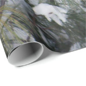 （鳥）ショウジョウコウカンチョウ松写真 ラッピングペーパー (ロールコーナー)