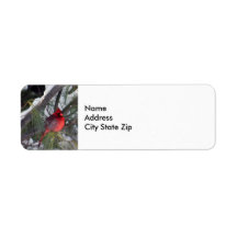 （鳥）ショウジョウコウカンチョウ松写真