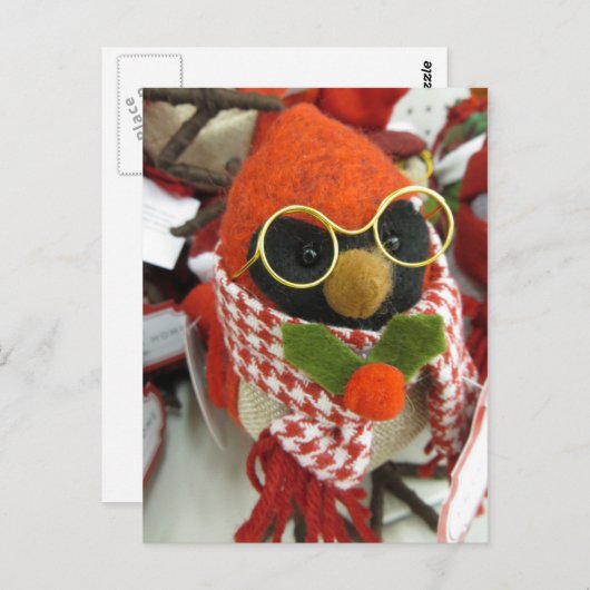 (鳥)ショウジョウコウカンチョウ着用メガネ ポストカード (正面/裏面)