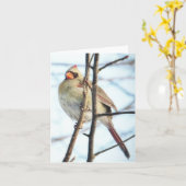 (鳥)ショウジョウコウカンチョウ空白の – グリーティングカード (黄色い花)