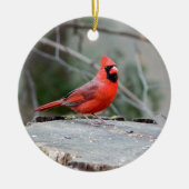 （鳥）ショウジョウコウカンチョウ紋 セラミックオーナメント (正面)