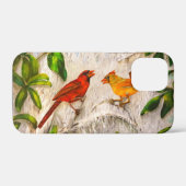（鳥）ショウジョウコウカンチョウ色彩の鮮やか鳥 Case-Mate iPhoneケース (裏面 (横))