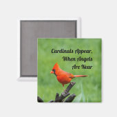 （鳥）ショウジョウコウカンチョウ表示エンジェルズニアマグネットデコール マグネット (正面/裏面)