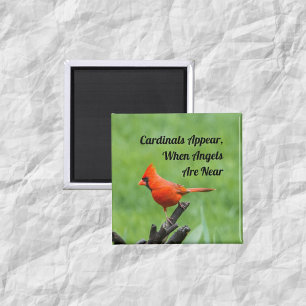 （鳥）ショウジョウコウカンチョウ表示エンジェルズニアマグネットデコール マグネット