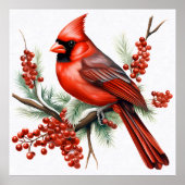 (鳥)ショウジョウコウカンチョウ装飾用クッション ポスター (正面)