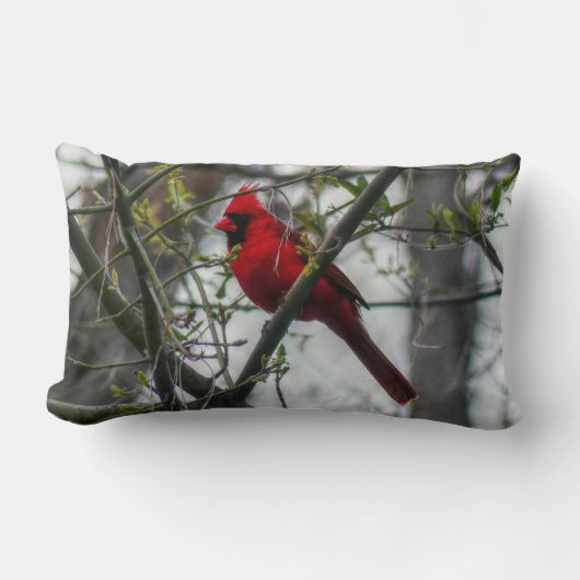 （鳥）ショウジョウコウカンチョウ装飾用クッション ランバークッション (正面)