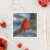 （鳥）ショウジョウコウカンチョウ赤冬写真 スタンダードカクテルナプキン (インサイチュ)