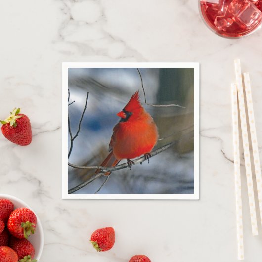 （鳥）ショウジョウコウカンチョウ赤冬写真 スタンダードカクテルナプキン (インサイチュ)
