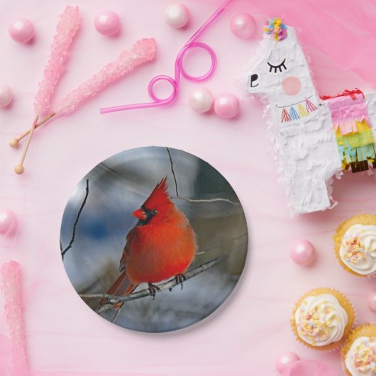 (鳥)ショウジョウコウカンチョウ赤冬写真 ペーパープレート (パーティー)