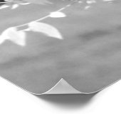 （鳥）ショウジョウコウカンチョウ赤外線 ポスター (角)