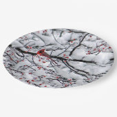 （鳥）ショウジョウコウカンチョウ雪の木の写真 ペーパープレート (アングル)