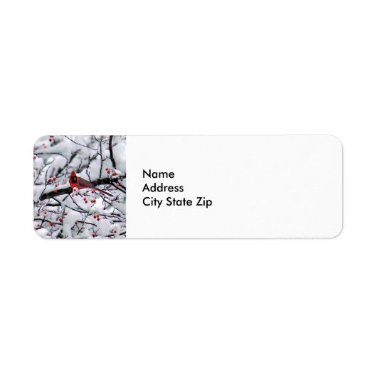 （鳥）ショウジョウコウカンチョウ雪の木の写真 ラベル (正面)