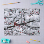 （鳥）ショウジョウコウカンチョウ雪の木の写真 薄葉紙 (クラフト)