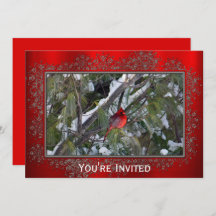 （鳥）ショウジョウコウカンチョウ雪の松の木フォトクリスマス