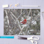 (鳥)ショウジョウコウカンチョウ雪樺の木ツリー写真 薄葉紙 (クラフト)