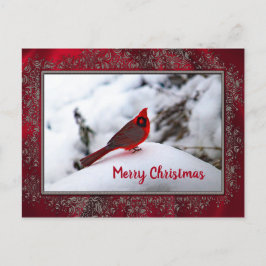 （鳥）ショウジョウコウカンチョウ雪6245フレームクリスマス ポストカード