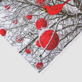 （鳥）ショウジョウコウカンチョウ鳥付きギフトティッシュ 薄葉紙 (詳細)