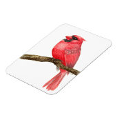 （鳥）ショウジョウコウカンチョウ鳥水彩 マグネット (左側)