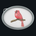 （鳥）ショウジョウコウカンチョウ鳥水彩 卵形バックル<br><div class="desc">水色の枝に（鳥）ショウジョウコウカンチョウバ絵を描ードのイラストレーションは、次の図絵を描で確認できます。http://bit.ly/2zCeRZe</div>