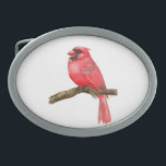 (鳥)ショウジョウコウカンチョウ鳥水彩 卵形バックル<br><div class="desc">水色の枝に(鳥)ショウジョウコウカンチョウバ絵を描ードのイラストレーションは、次の図絵を描で確認できます。http://bit.ly/2zCeRZe</div>