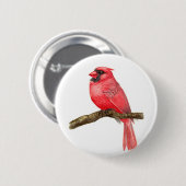 （鳥）ショウジョウコウカンチョウ鳥水彩 缶バッジ (正面&裏面)