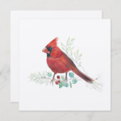 （鳥）ショウジョウコウカンチョウ鳥水色 (正面/裏面)