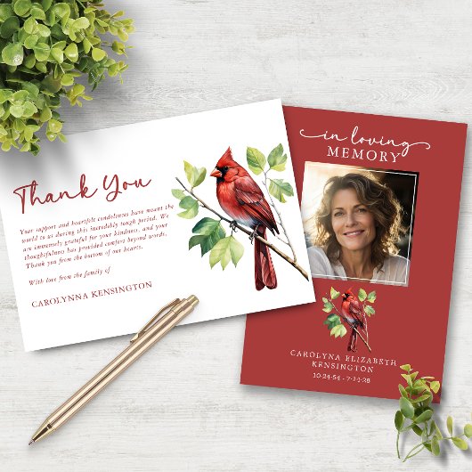 （鳥）ショウジョウコウカンチョウ鳥葬祭記念写真提供 サンキューカード