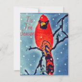 （鳥）ショウジョウコウカンチョウ鳥 シーズンカード (裏面)