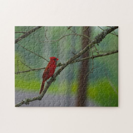 （鳥）ショウジョウコウカンチョウ鳥。 ジグソーパズル (横)