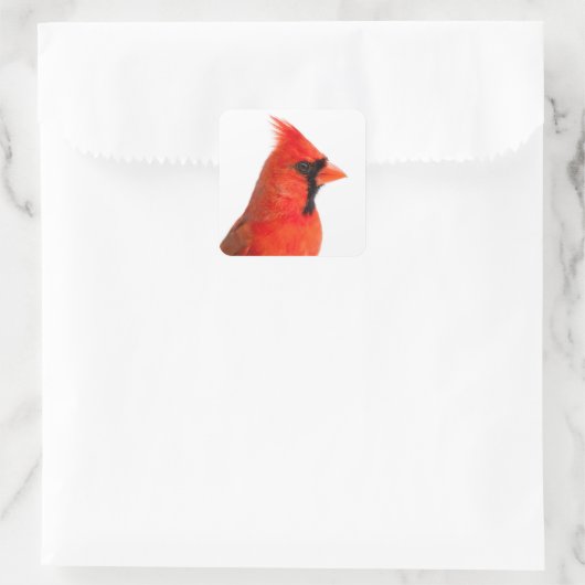 (鳥)ショウジョウコウカンチョウ鳥 スクエアシール (バッグ)