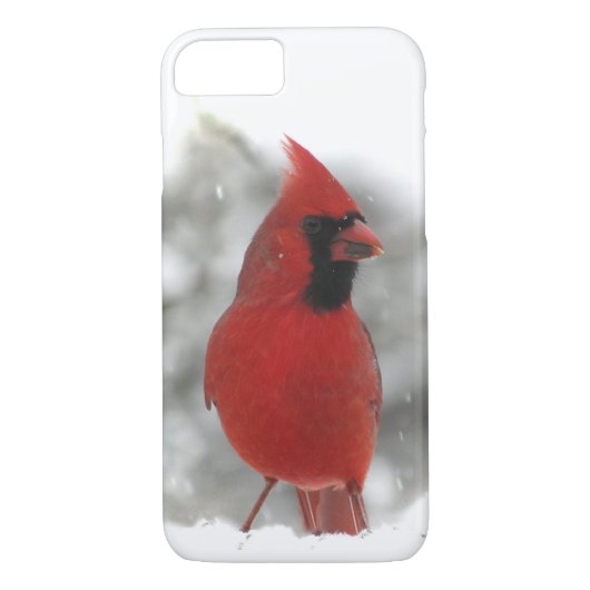 (鳥)ショウジョウコウカンチョウ鳥iPhoneケース Case-Mate iPhoneケース (裏面)