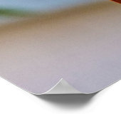 （鳥）ショウジョウコウカンチョウ16 X 20アーカイブ重いプリント ポスター (角)